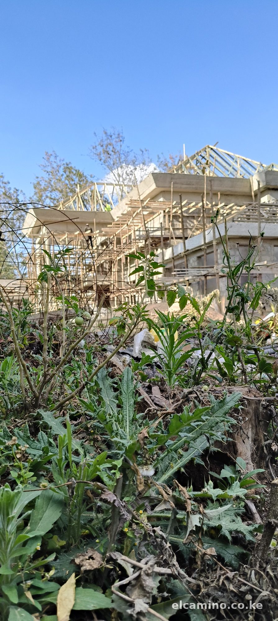 Karen Mansion - Photo 17